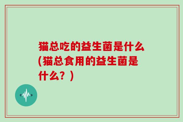 猫总吃的益生菌是什么(猫总食用的益生菌是什么？)