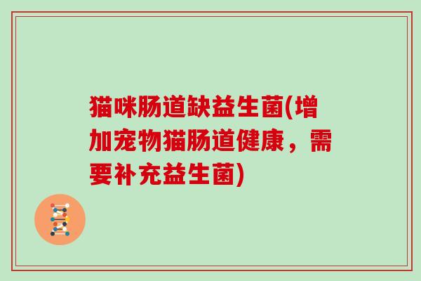 猫咪肠道缺益生菌(增加宠物猫肠道健康，需要补充益生菌)