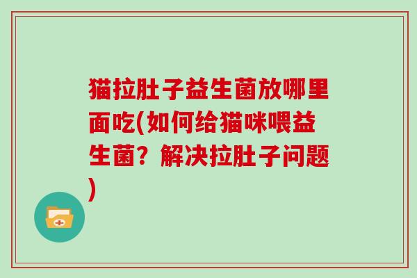 猫拉肚子益生菌放哪里面吃(如何给猫咪喂益生菌？解决拉肚子问题)