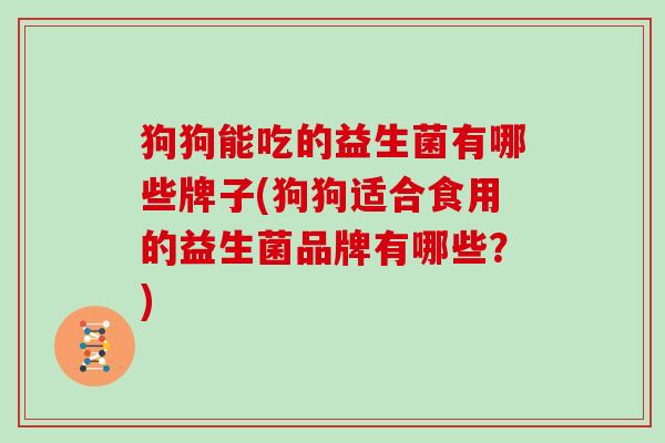 狗狗能吃的益生菌有哪些牌子(狗狗适合食用的益生菌品牌有哪些？)
