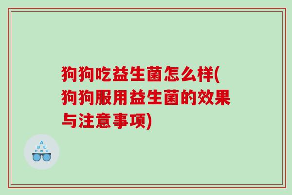 狗狗吃益生菌怎么样(狗狗服用益生菌的效果与注意事项)
