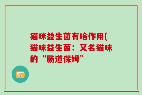 猫咪益生菌有啥作用(猫咪益生菌：又名猫咪的“肠道保姆”