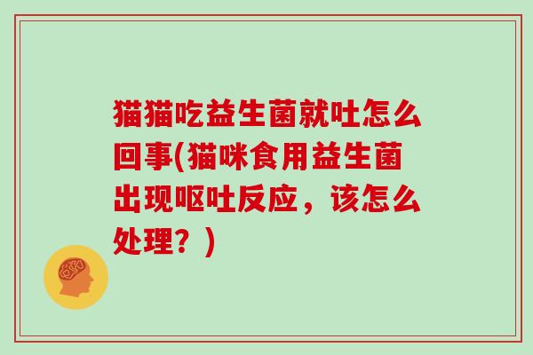 猫猫吃益生菌就吐怎么回事(猫咪食用益生菌出现反应，该怎么处理？)