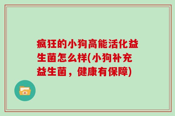 疯狂的小狗高能活化益生菌怎么样(小狗补充益生菌，健康有保障)