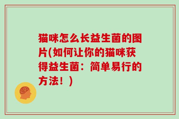 猫咪怎么长益生菌的图片(如何让你的猫咪获得益生菌：简单易行的方法！)