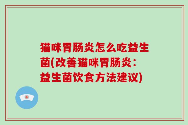 猫咪胃肠炎怎么吃益生菌(改善猫咪胃肠炎：益生菌饮食方法建议)