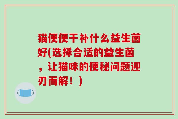猫便便干补什么益生菌好(选择合适的益生菌,让猫咪的问题迎刃而解!) 猫便便干补什么益生菌好(选择合适的益生菌,让猫咪的问题迎刃而解!)