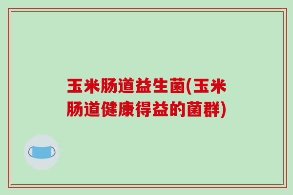 玉米肠道益生菌(玉米肠道健康得益的菌群)