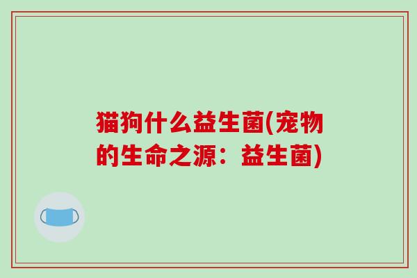 猫狗什么益生菌(宠物的生命之源：益生菌)