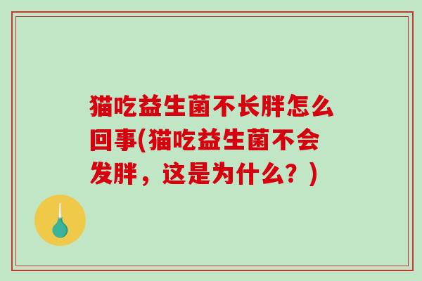猫吃益生菌不长胖怎么回事(猫吃益生菌不会发胖，这是为什么？)
