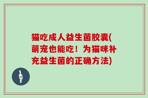 猫吃成人益生菌胶囊(萌宠也能吃！为猫咪补充益生菌的正确方法)