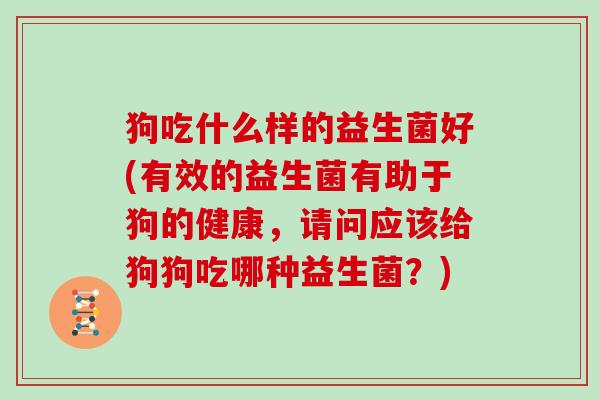 狗吃什么样的益生菌好(有效的益生菌有助于狗的健康，请问应该给狗狗吃哪种益生菌？)