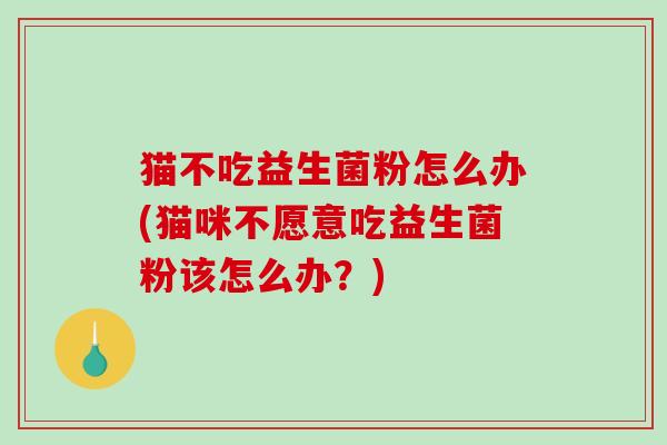 猫不吃益生菌粉怎么办(猫咪不愿意吃益生菌粉该怎么办？)