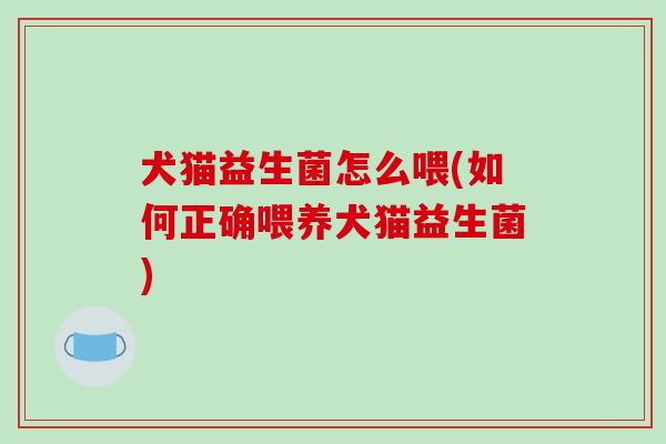 犬猫益生菌怎么喂(如何正确喂养犬猫益生菌)