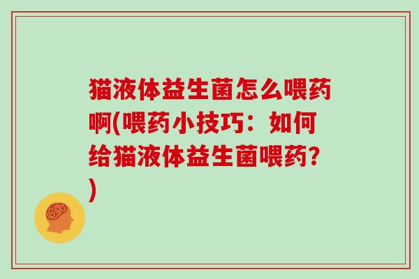 猫液体益生菌怎么喂药啊(喂药小技巧：如何给猫液体益生菌喂药？)