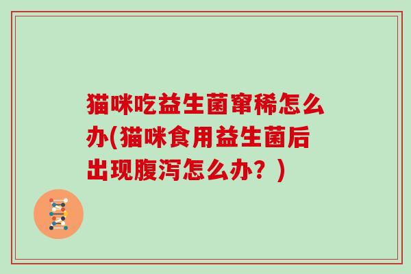 猫咪吃益生菌窜稀怎么办(猫咪食用益生菌后出现腹泻怎么办？)