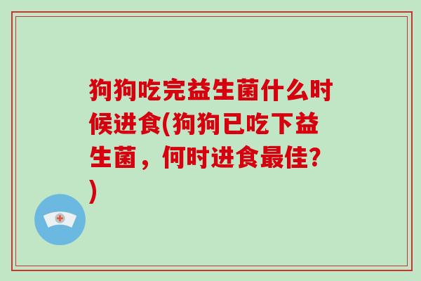 狗狗吃完益生菌什么时候进食(狗狗已吃下益生菌，何时进食最佳？)