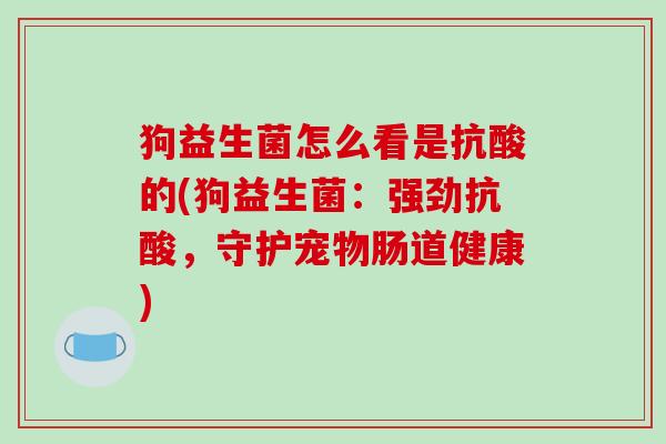 狗益生菌怎么看是抗酸的(狗益生菌:强劲抗酸,守护宠物肠道健康) 狗益生菌怎么看是抗酸的(狗益生菌:强劲抗酸,守护宠物肠道健康)