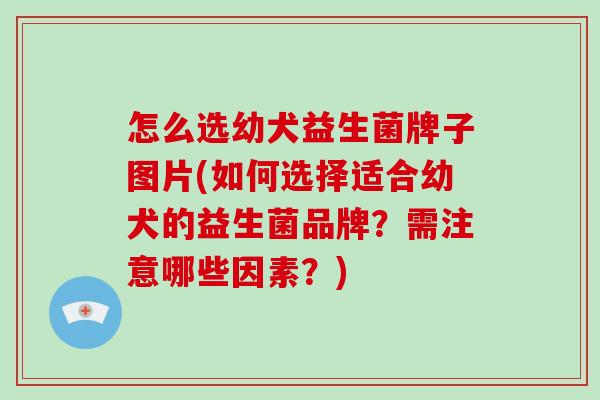 怎么选幼犬益生菌牌子图片(如何选择适合幼犬的益生菌品牌？需注意哪些因素？)