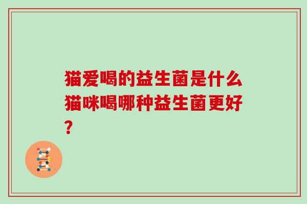 猫爱喝的益生菌是什么猫咪喝哪种益生菌更好？