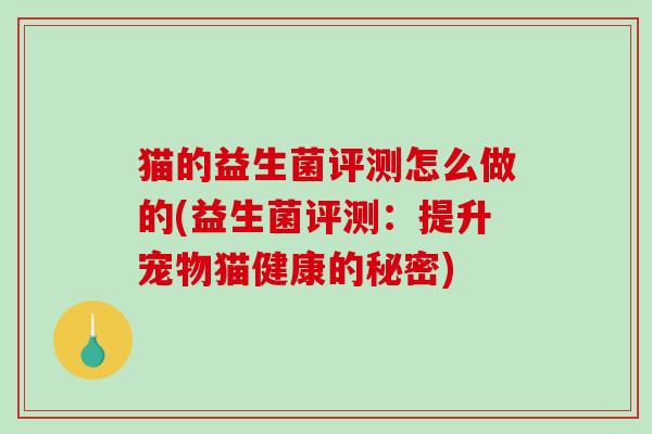 猫的益生菌评测怎么做的(益生菌评测：提升宠物猫健康的秘密)