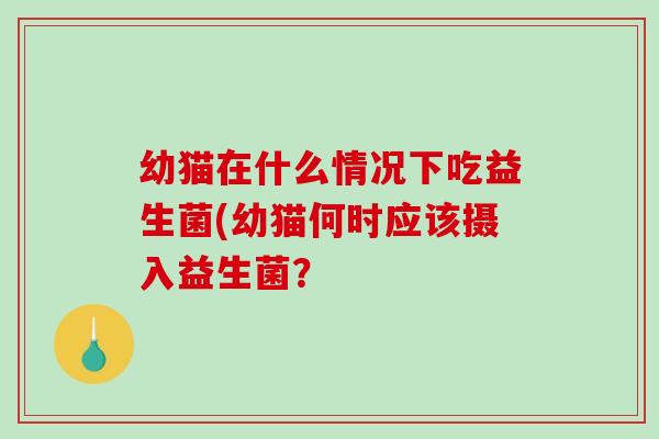 幼猫在什么情况下吃益生菌(幼猫何时应该摄入益生菌？