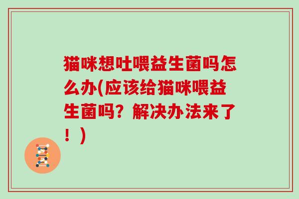 猫咪想吐喂益生菌吗怎么办(应该给猫咪喂益生菌吗？解决办法来了！)