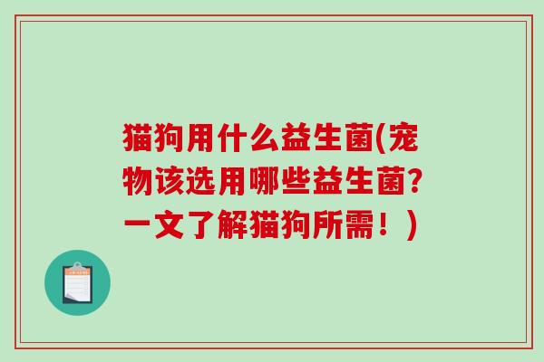 猫狗用什么益生菌(宠物该选用哪些益生菌？一文了解猫狗所需！)