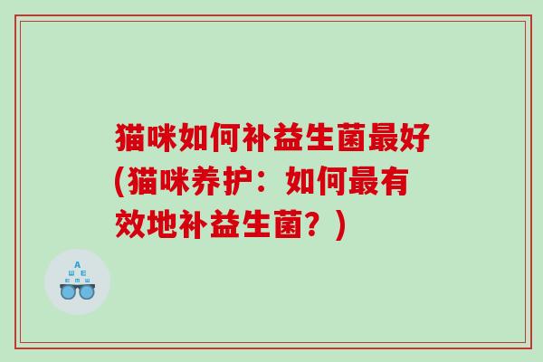猫咪如何补益生菌最好(猫咪养护：如何最有效地补益生菌？)