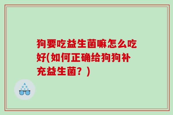 狗要吃益生菌嘛怎么吃好(如何正确给狗狗补充益生菌？)