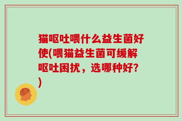 猫喂什么益生菌好使(喂猫益生菌可缓解困扰，选哪种好？)