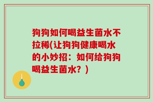 狗狗如何喝益生菌水不拉稀(让狗狗健康喝水的小妙招：如何给狗狗喝益生菌水？)