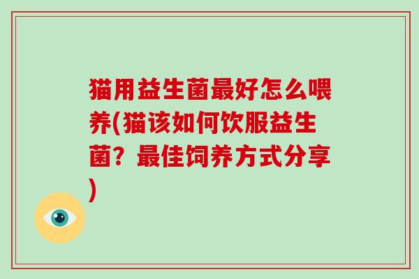 猫用益生菌最好怎么喂养(猫该如何饮服益生菌？最佳饲养方式分享)