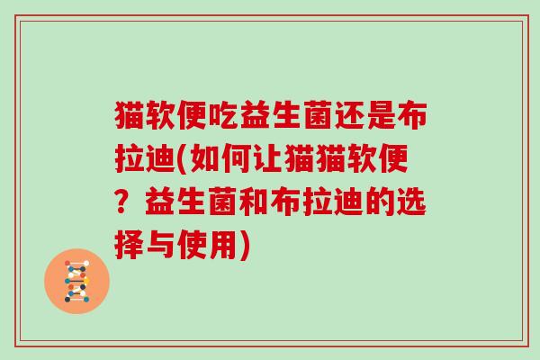 猫软便吃益生菌还是布拉迪(如何让猫猫软便？益生菌和布拉迪的选择与使用)