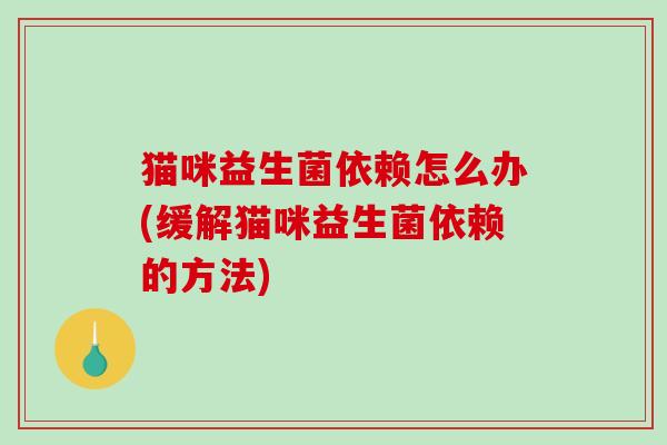 猫咪益生菌依赖怎么办(缓解猫咪益生菌依赖的方法)