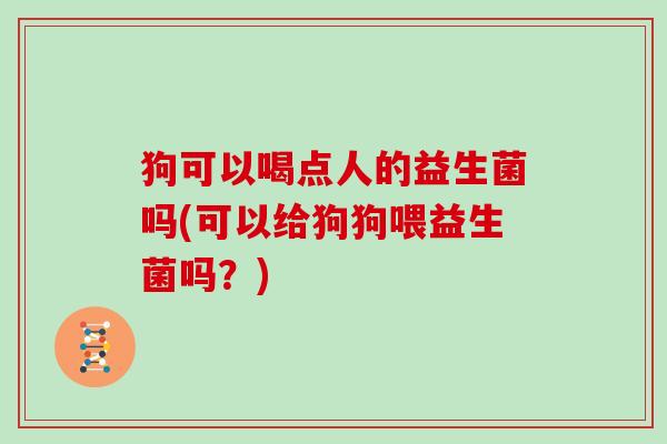 狗可以喝点人的益生菌吗(可以给狗狗喂益生菌吗？)