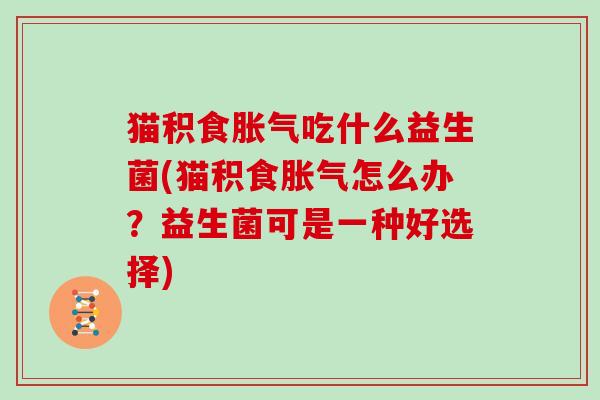 猫积食吃什么益生菌(猫积食怎么办？益生菌可是一种好选择)