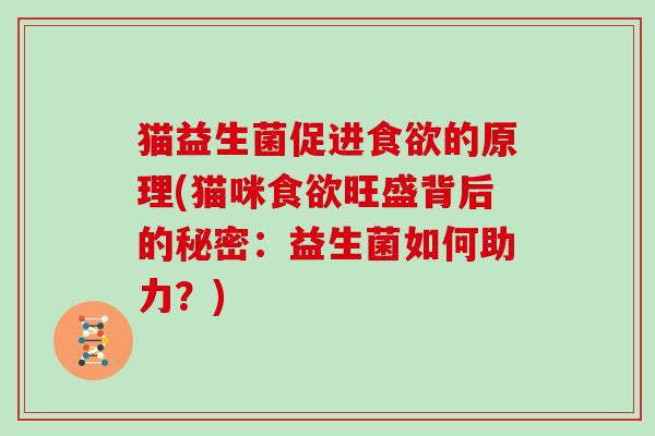 猫益生菌促进的原理(猫咪旺盛背后的秘密：益生菌如何助力？)