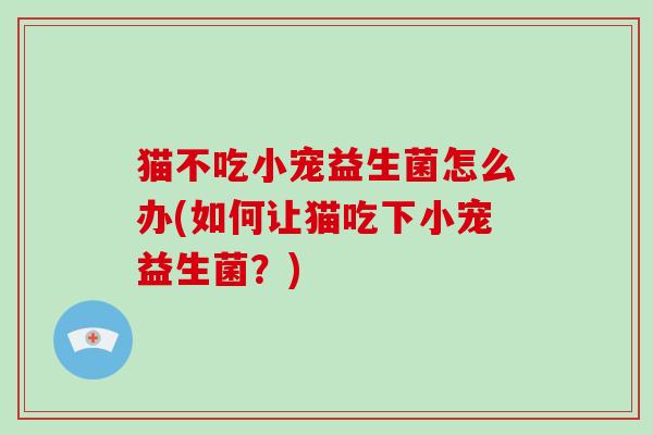 猫不吃小宠益生菌怎么办(如何让猫吃下小宠益生菌？)