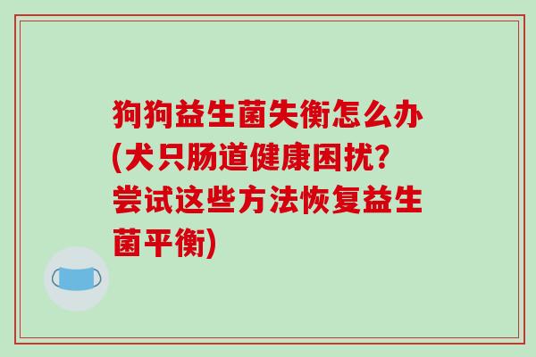 狗狗益生菌失衡怎么办(犬只肠道健康困扰？尝试这些方法恢复益生菌平衡)