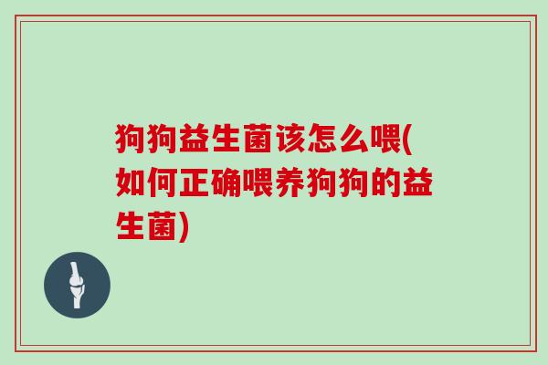 狗狗益生菌该怎么喂(如何正确喂养狗狗的益生菌)