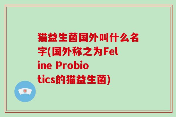 猫益生菌国外叫什么名字(国外称之为Feline Probiotics的猫益生菌)