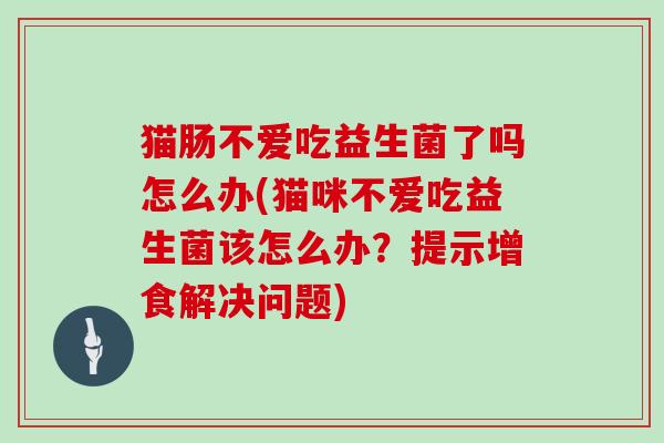 猫肠不爱吃益生菌了吗怎么办(猫咪不爱吃益生菌该怎么办？提示增食解决问题)
