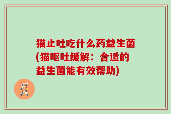 猫止吐吃什么药益生菌(猫呕吐缓解：合适的益生菌能有效帮助)