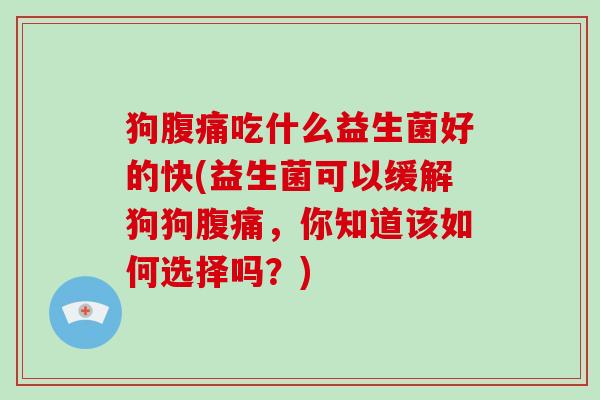 狗腹痛吃什么益生菌好的快(益生菌可以缓解狗狗腹痛，你知道该如何选择吗？)