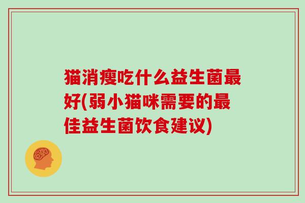 猫消瘦吃什么益生菌最好(弱小猫咪需要的最佳益生菌饮食建议)