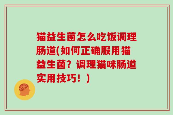猫益生菌怎么吃饭调理肠道(如何正确服用猫益生菌？调理猫咪肠道实用技巧！)