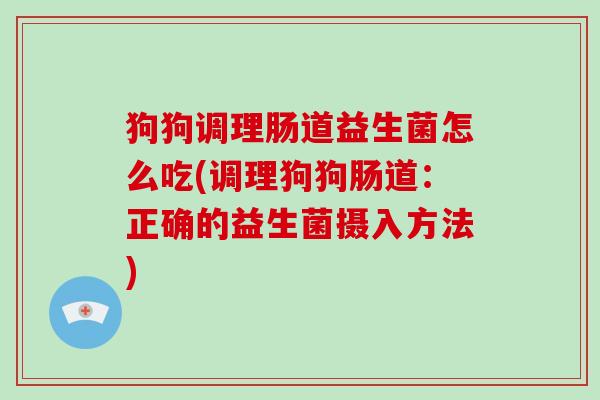 狗狗调理肠道益生菌怎么吃(调理狗狗肠道：正确的益生菌摄入方法)