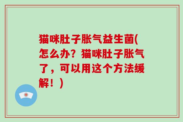 猫咪肚子益生菌(怎么办?猫咪肚子了,可以用这个方法缓解!) 猫咪肚子益生菌(怎么办?猫咪肚子了,可以用这个方法缓解!)