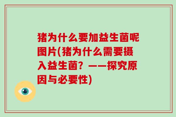 猪为什么要加益生菌呢图片(猪为什么需要摄入益生菌？——探究原因与必要性)